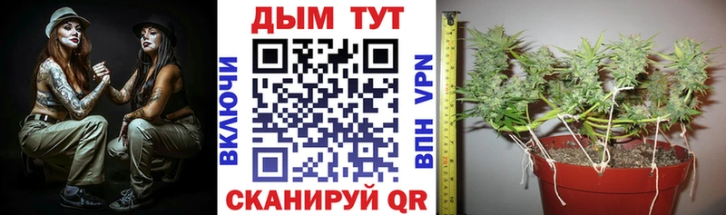 Продажа наркотиков Могоча Cocaine Бошки Шишки Меф мяу мяу ГАШИШ