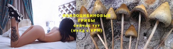 ALPHA PVP Аркадак