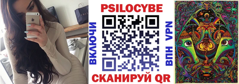 Псилоцибиновые грибы Magic Shrooms  даркнет телеграм  Могоча  hydra зеркало 