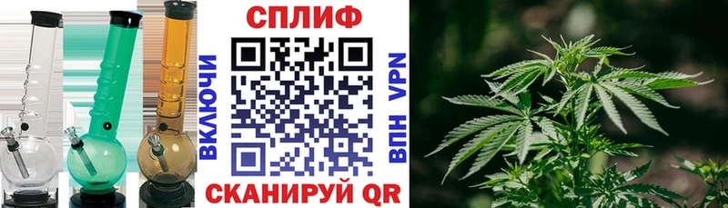 мориарти официальный сайт  Могоча  Каннабис AK-47 